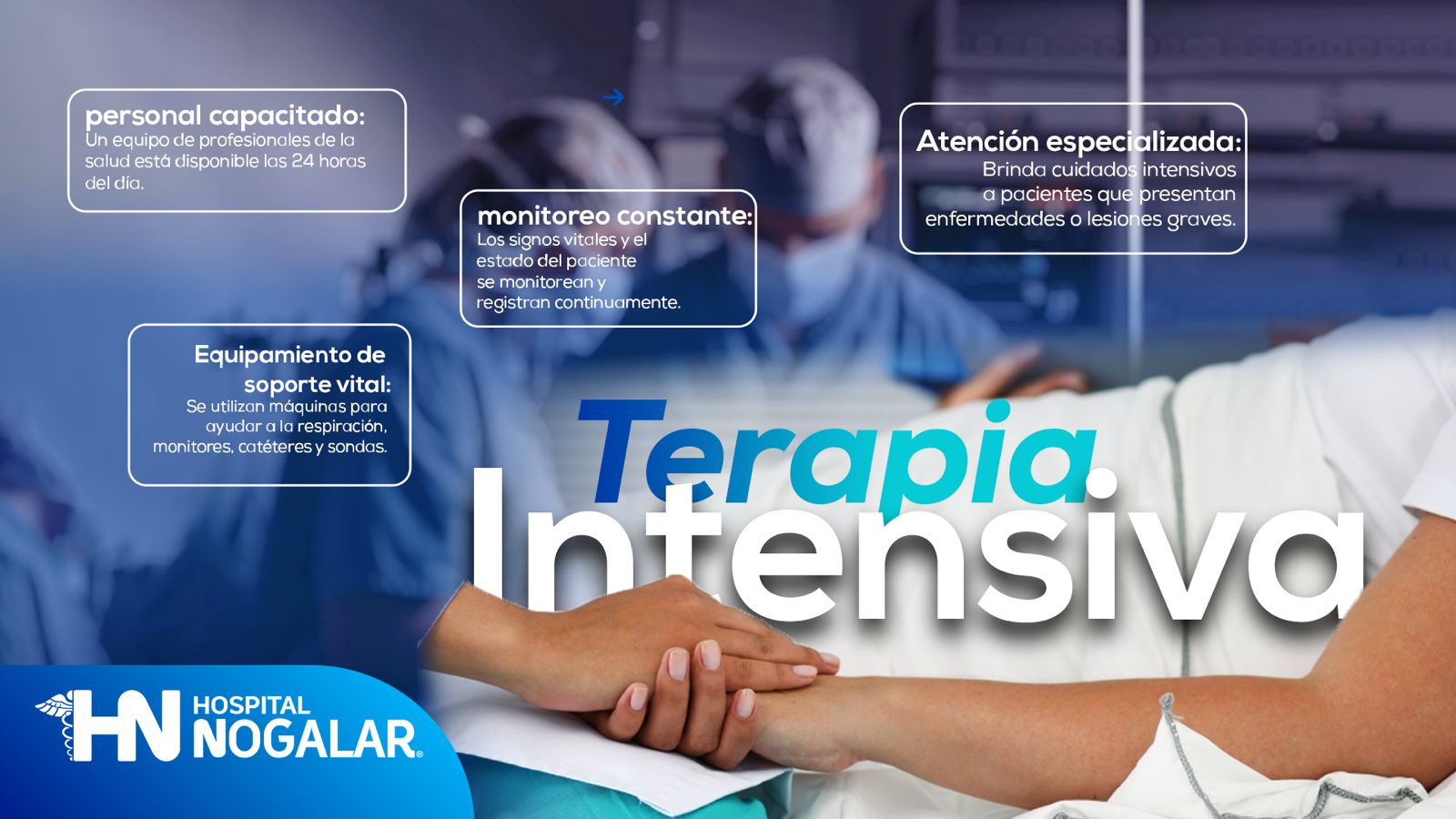 Imagen 6